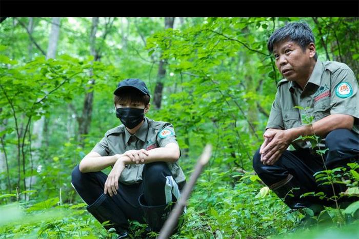 王俊凯为保护东北虎发声 保护濒危野生动物