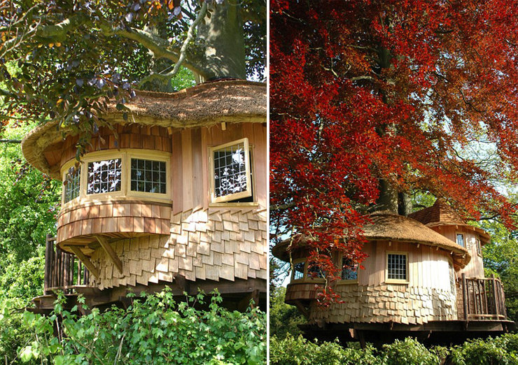 哥俩打造隐身树屋 形状各异豪华舒适