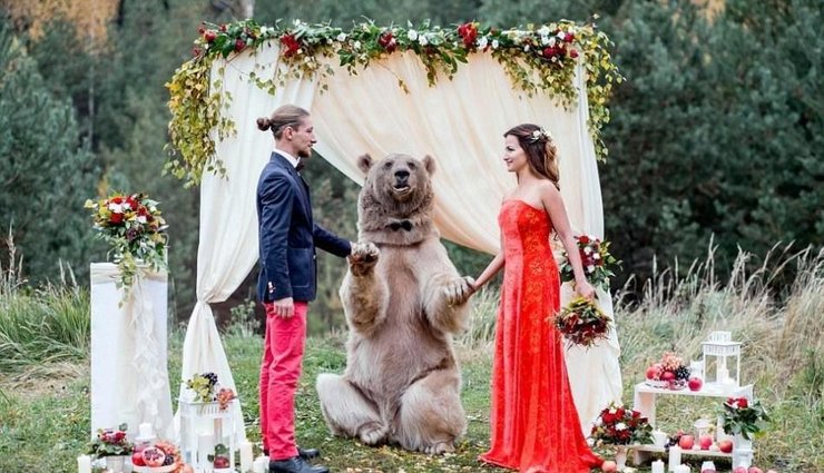 战斗民族的婚礼！请来267斤灰熊做证婚人