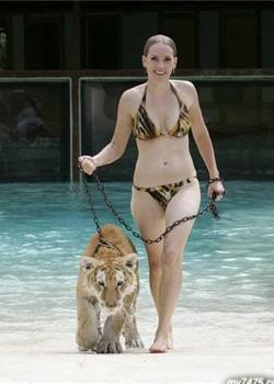 泳池里的美女与野兽
