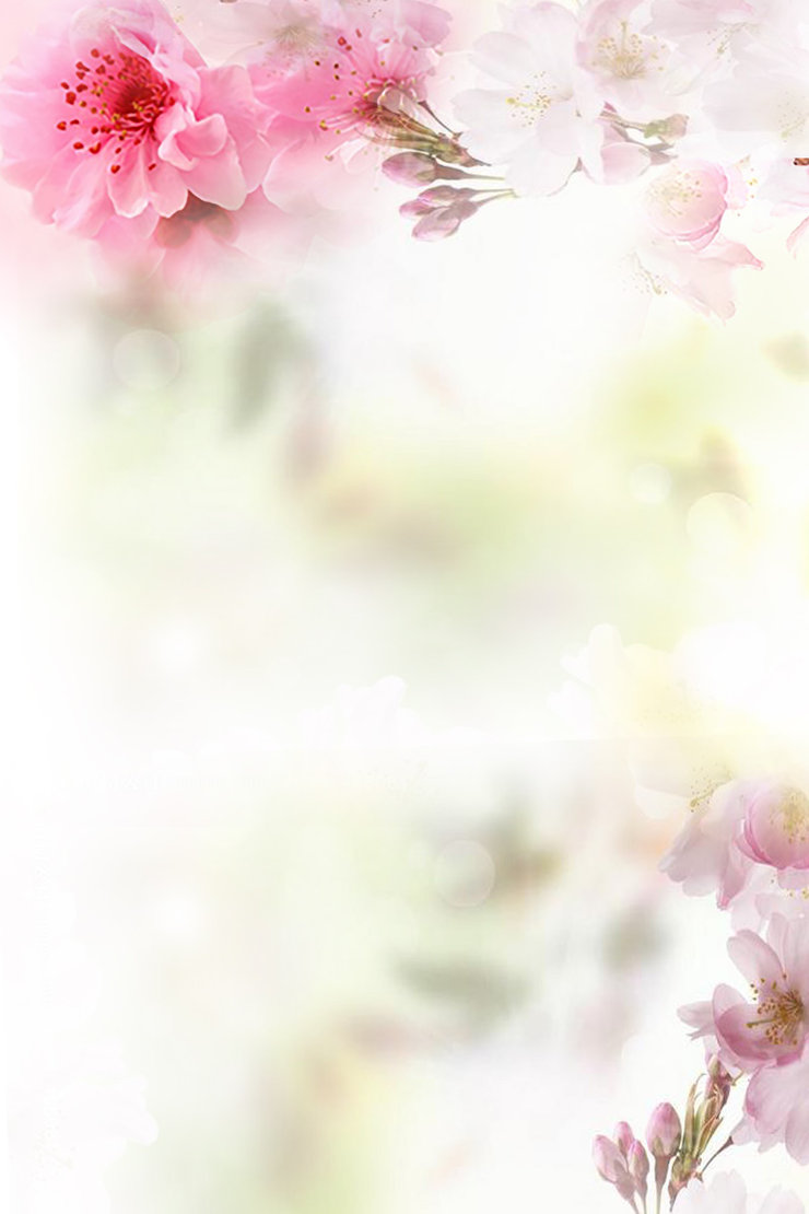 粉色背景 桃花季节春天唯美海报背景