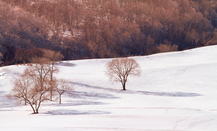 摄影图片塞罕坝之冬美丽风景