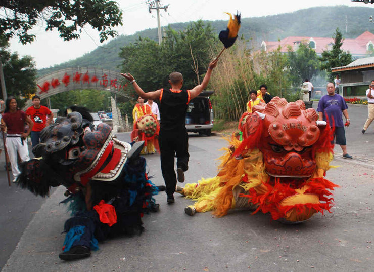 中国摄影舞起太狮贺红事