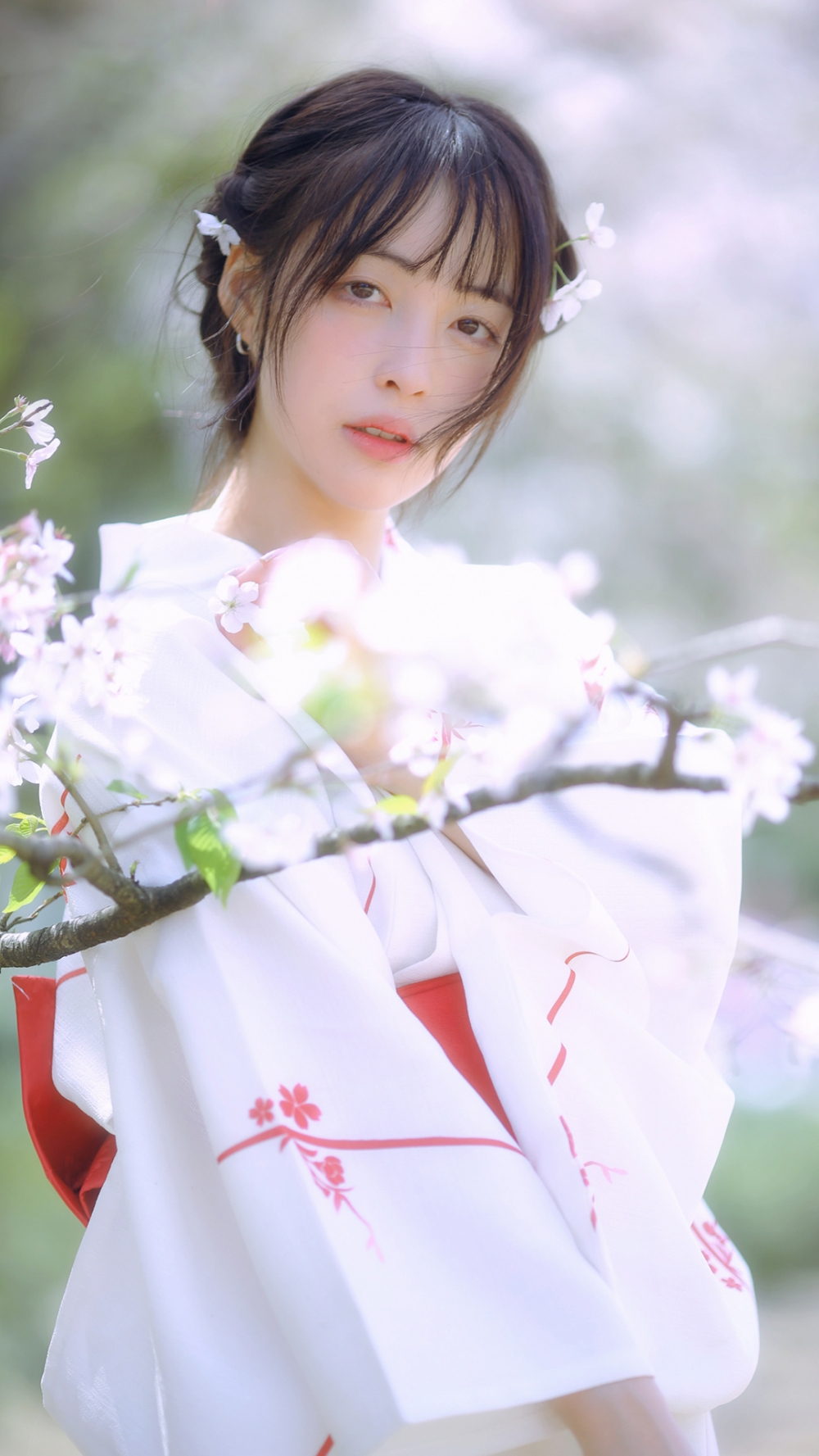 日式和服美女肤白貌美樱花树下清新唯美写真