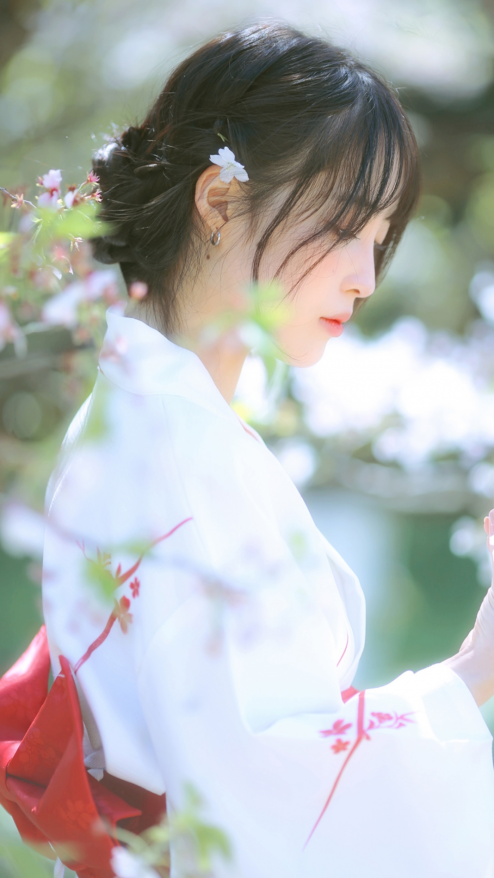 日式和服美女肤白貌美樱花树下清新唯美写真