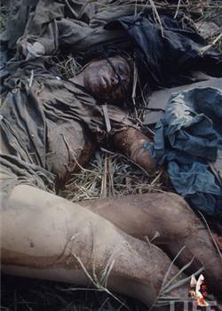 越战中的韩军奸杀妇女兽行累累